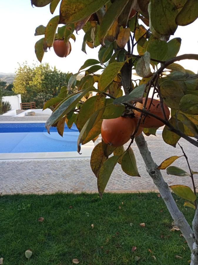 Vila Monte Papa Figos Malhao  Exteriér fotografie